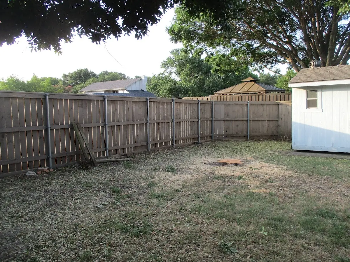 Cleared yard after professional tree removal in Gore Springs
