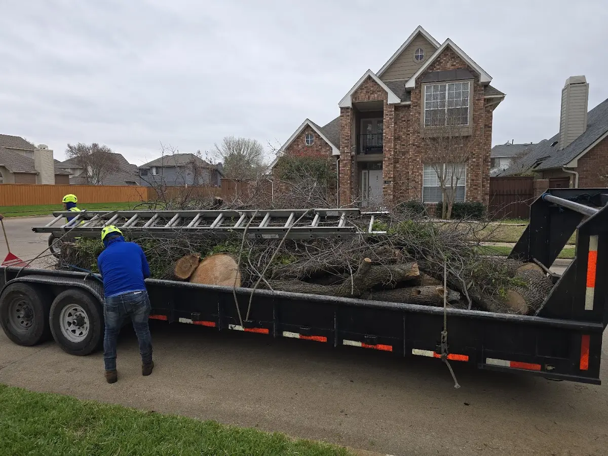 Expert Tree Removal with proper safety equipment in Gore Springs